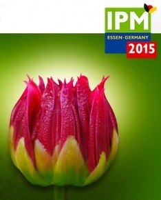 IPM_ESSEN-profile-flowerweb-1-234x300