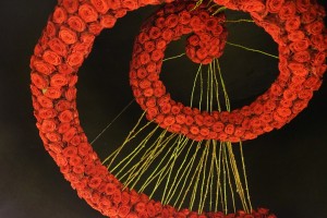 Red Naomi spiral design