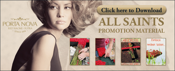 Click to Download promotion Materials 
