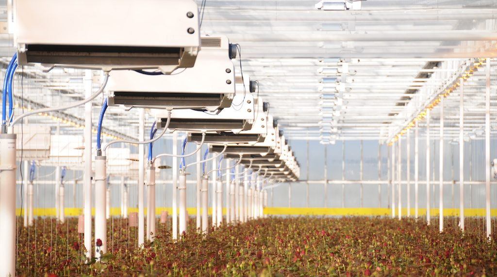 Climator Porta Nova Greenhouse