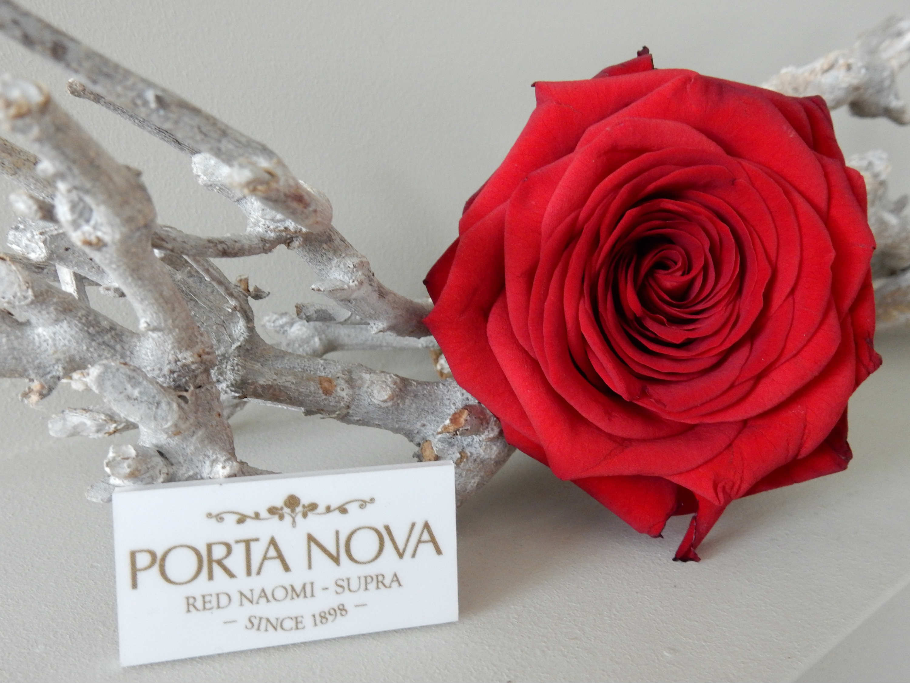 Easter table with Porta nova red naomi rose Erko