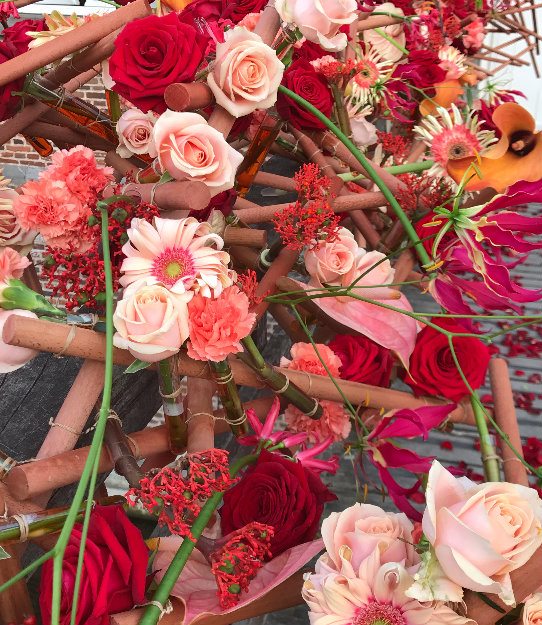lana bates porta nova red naomi roses fleuramour 2018