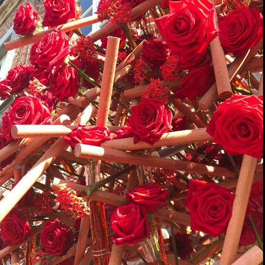 Lana bates porta nova red naomi fleuramour alden biesen roses and sticks