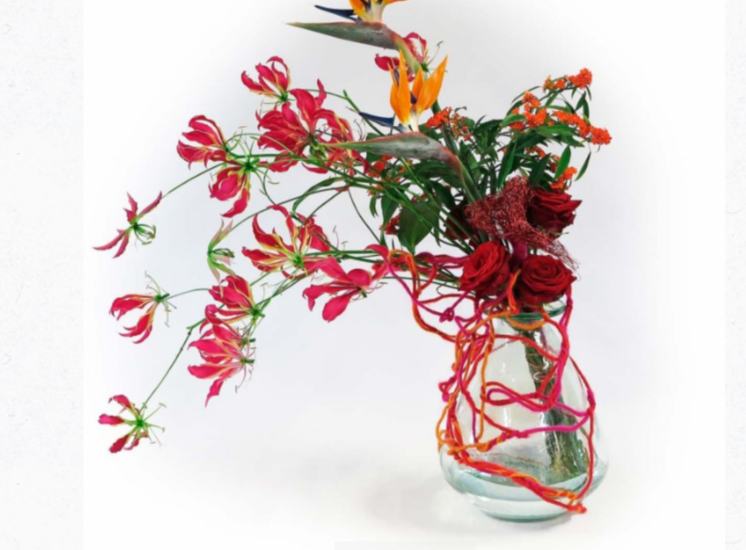 Lily Beelen Porta Nova red naomi Gloriosa, Strelizia reginae, Lehner Wolle floral fundamentals