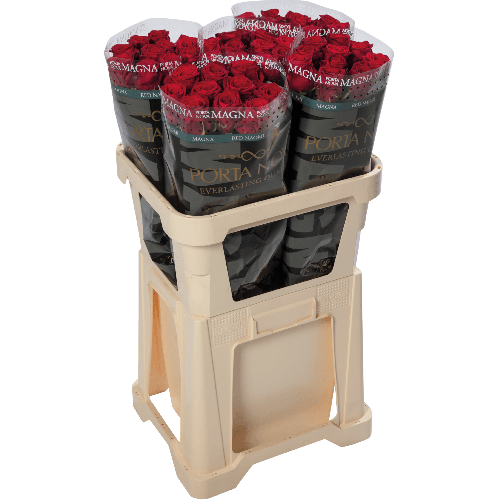 Porta Nova Red Naomi Magna roses