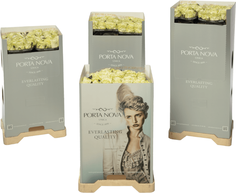 Porta Nova White Noami Unica roses