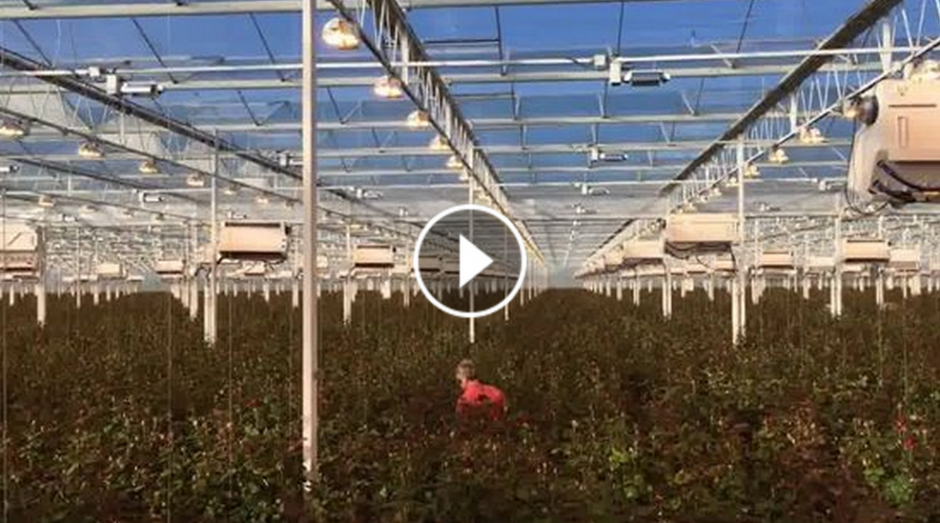 Porta_Nova-climator_-video-1