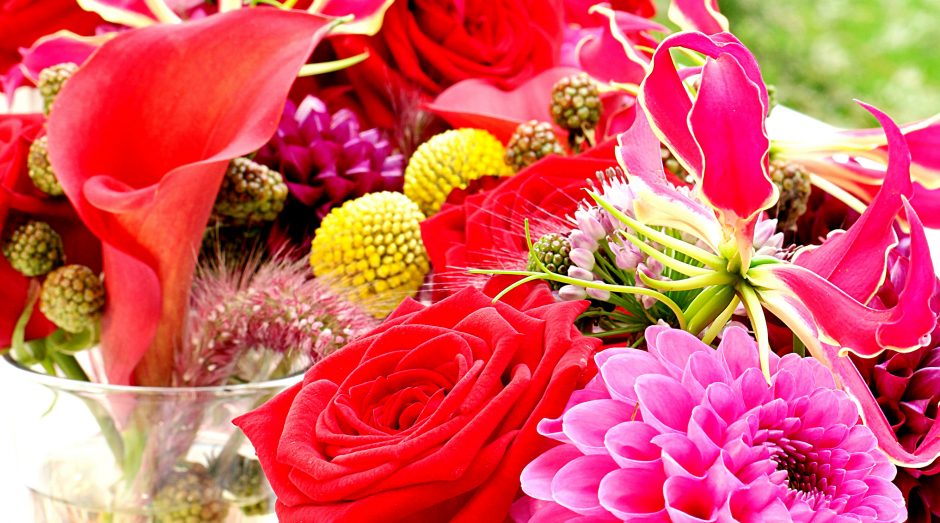 summer-love-porta-nova-myflorist